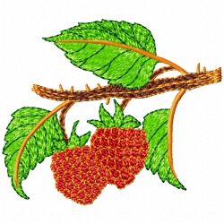 Raspberry Embroidery Design 4 Raspberry Embroidery Design 4